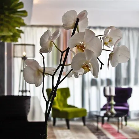 Feliz Hotel 4*