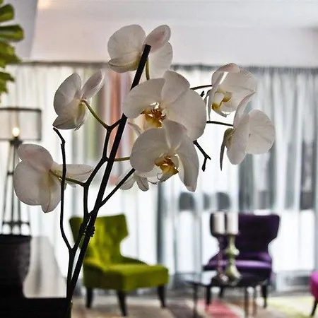 Hotel Feliz Palma de Mallorca